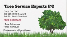 Avatar for Tree Services Experts P.C