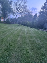 Cruz Cruz Beautiful Lawns logo