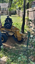 Avatar for Infantree Stumps