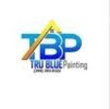 Avatar for Tru Blue Painting
