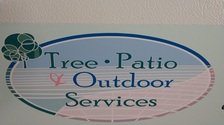 Avatar for EC Cut Trees Service