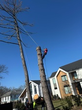 Avatar for Bardales Outdoor Service