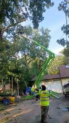 Green Life Lawncare & Landscaping logo