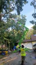 Avatar for Green Life Lawncare & Landscaping