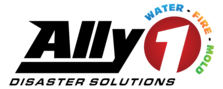 Logo for Ally1 Disaster Solutions Co.