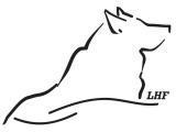 Lance's Hidden Fencing logo