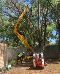 Roots & Canopy Tree Service, LLC logo