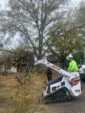 Avatar for Roots & Canopy Tree Service, LLC