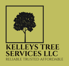 Avatar for Kelley's Tree Services