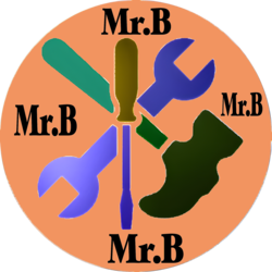 Mr B Handyman Services logo