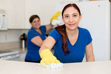Logo for Pro Clean Window Washers  LLC