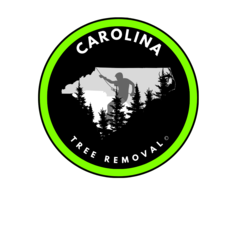 Logo for Carolina Tree Removal, LLC