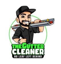 Avatar for The Gutter Cleaner