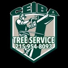 Logo for Ceiba Landscaping and Tree Service LLC