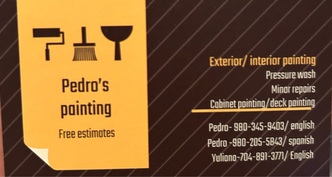 Pedro's Painting logo