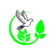 Avatar for Elim Landscaping