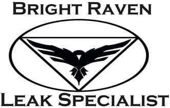 Brightraven Leak Specialists, LLC logo