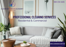 Avatar for Cleaning Maid Elegant