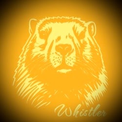 Whistler Electric LLC logo