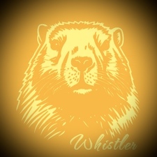 Avatar for Whistler Electric LLC