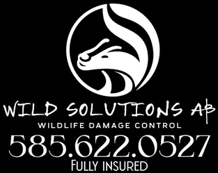 Wild Solutions AB logo