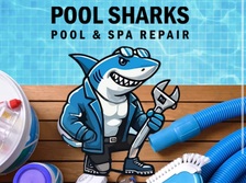 Avatar for Pool Sharks