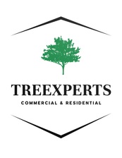 Avatar for Tree Experts