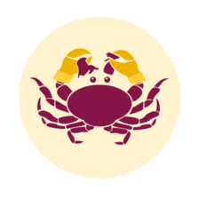 Logo for Crabby Cleaners LLC