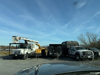 Y & VA Tree Services logo