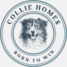 Avatar for GREENCOLLIE HOME SERVICES LLC