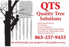 Logo for Quality Tree Solutions