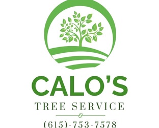 Calo's Tree Service LLC logo