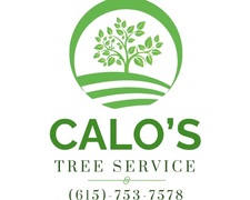 Avatar for Calo's Tree Service LLC