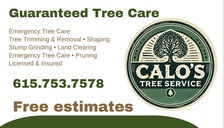Avatar for Calo's Tree Service LLC