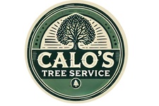Avatar for Calo's Tree Service LLC