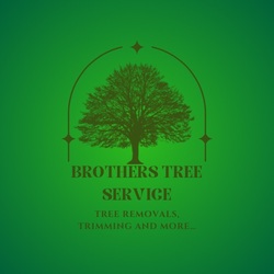 Brother's Tree Service, LLP logo