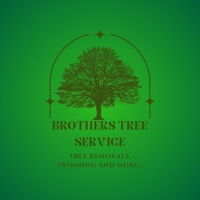 Avatar for Brother's Tree Service, LLP