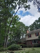 Avatar for Wilber Tree Services