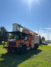 Avatar for Aguilera Tree Service and more