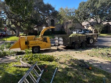 Avatar for Aguilera Tree Service and more