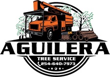 Avatar for Aguilera Tree Service and more