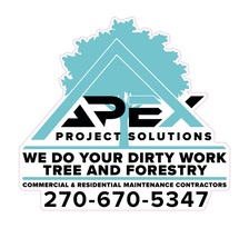 Avatar for Apex Project Solutions
