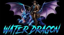 Water Dragon Pressure Washing LLC logo