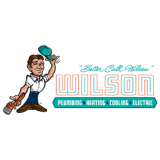 Avatar for Wilson Plumbing & Heating, Inc.