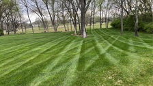 Avatar for Bertin Rayo Landscaping