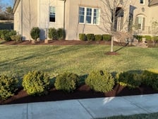 Avatar for Bertin Rayo Landscaping