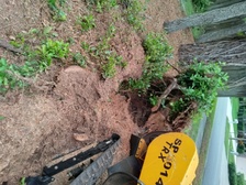 Logo for KBS Stump Grinding