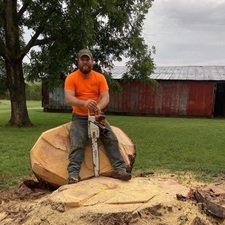 Logo for DW's Tree Service
