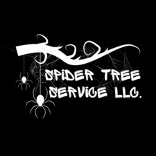 Avatar for Spider Tree Service LLC