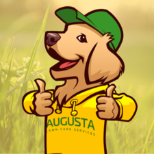 Avatar for Augusta Lawn Care of Nashville